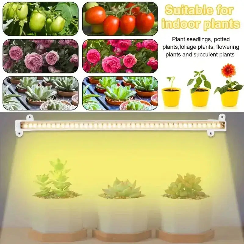 Led Grow Light For Plants